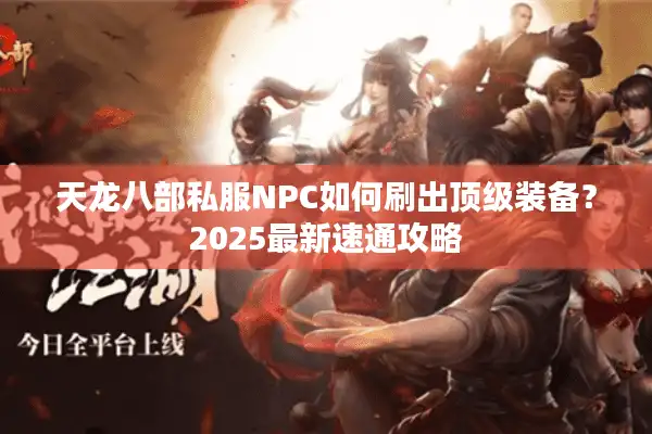 天龙八部私服NPC如何刷出顶级装备？2025最新速通攻略