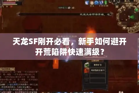 天龙SF刚开必看，新手如何避开开荒陷阱快速满级？