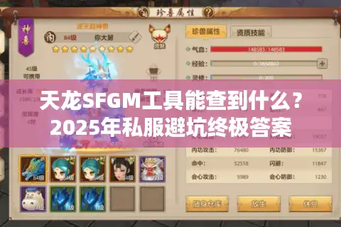 天龙SFGM工具能查到什么？2025年私服避坑终极答案