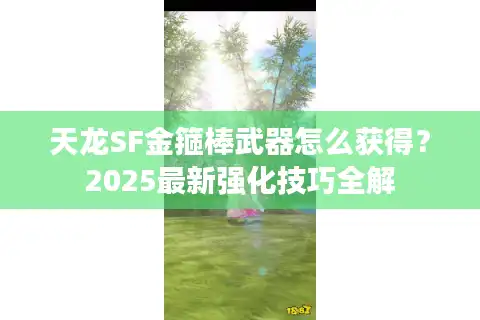 天龙SF金箍棒武器怎么获得？2025最新强化技巧全解