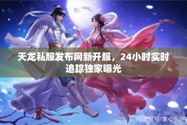 天龙私服发布网新开服，24小时实时追踪独家曝光