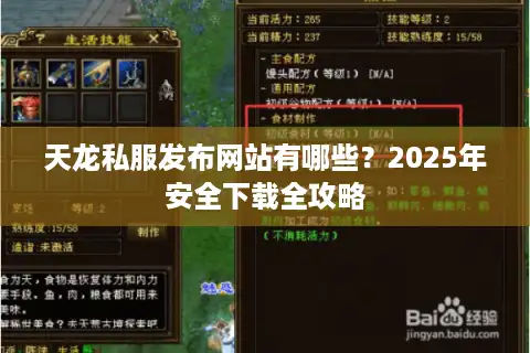天龙私服发布网站有哪些？2025年安全下载全攻略