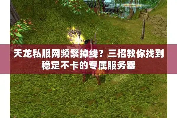 天龙私服网频繁掉线？三招教你找到稳定不卡的专属服务器