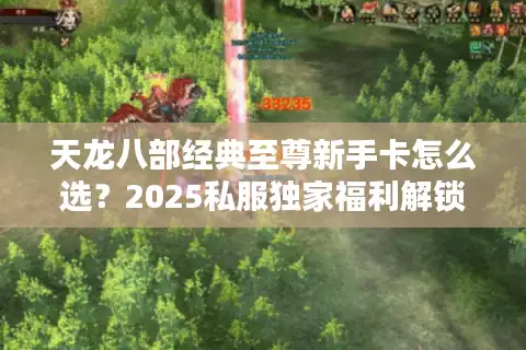 天龙八部经典至尊新手卡怎么选？2025私服独家福利解锁攻略