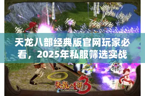 天龙八部经典版官网玩家必看,2025年私服筛选实战手册 天龙八部经典版官网玩家必看,2025年私服筛选实战手册
