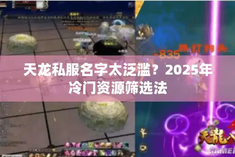 天龙私服名字太泛滥？2025年冷门资源筛选法