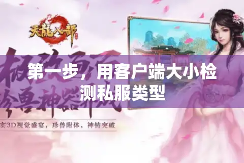 第一步，用客户端大小检测私服类型