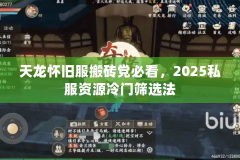 天龙怀旧服搬砖党必看，2025私服资源冷门筛选法