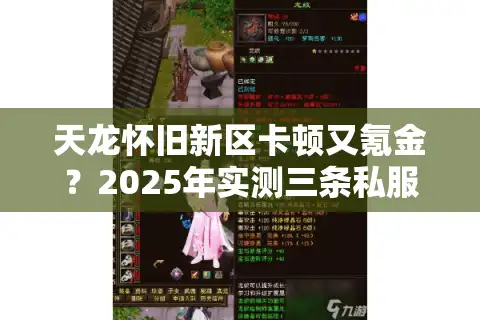 天龙怀旧新区卡顿又氪金？2025年实测三条私服避坑法则
