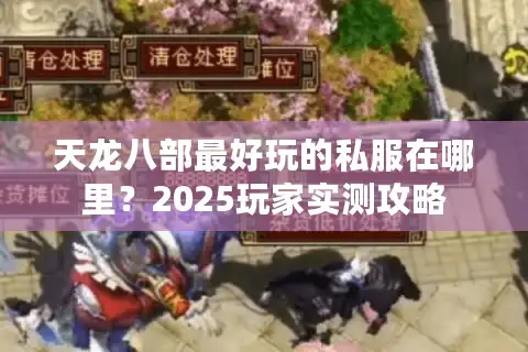 天龙八部最好玩的私服在哪里？2025玩家实测攻略