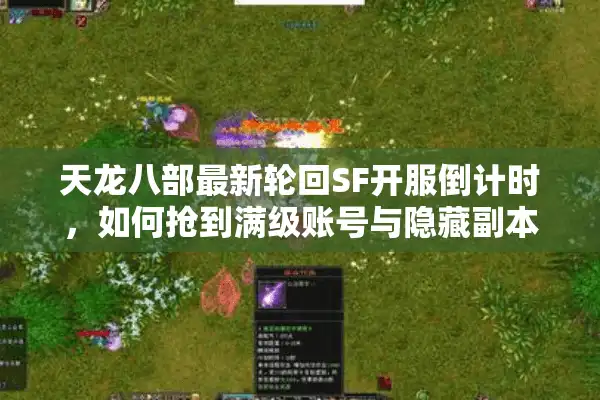 天龙八部最新轮回SF开服倒计时，如何抢到满级账号与隐藏副本资格？