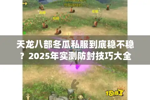 天龙八部冬瓜私服到底稳不稳?2025年实测防封技巧大全 天龙八部冬瓜私服到底稳不稳?2025年实测防封技巧大全