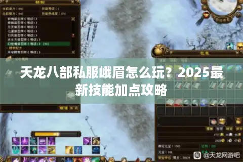天龙八部私服峨眉怎么玩？2025最新技能加点攻略