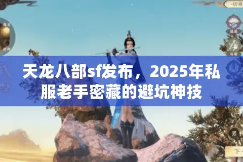 天龙八部sf发布，2025年私服老手密藏的避坑神技