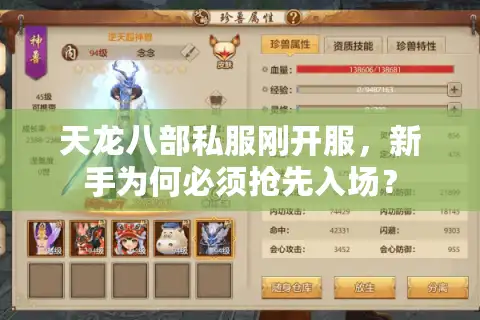 天龙八部私服刚开服，新手为何必须抢先入场？