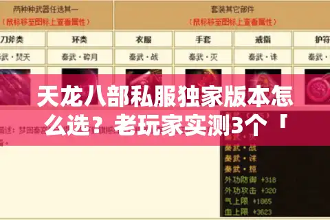 天龙八部私服独家版本怎么选？老玩家实测3个「不撞款」高玩向版本