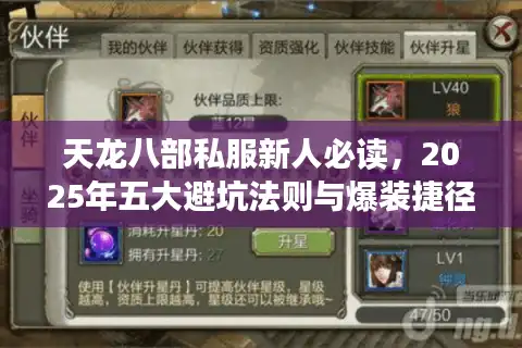 天龙八部私服新人必读，2025年五大避坑法则与爆装捷径