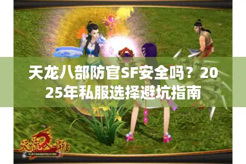天龙八部防官SF安全吗？2025年私服选择避坑指南