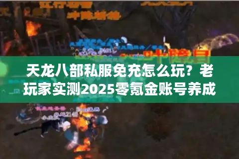 天龙八部私服免充怎么玩？老玩家实测2025零氪金账号养成法