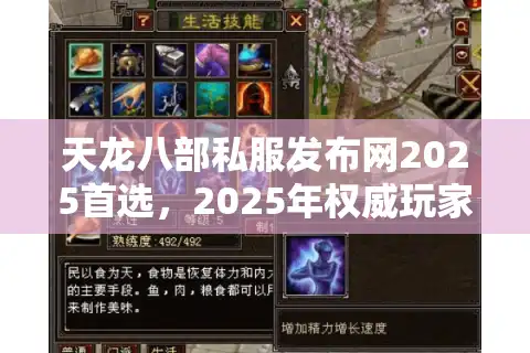 天龙八部私服发布网2025首选，2025年权威玩家力荐私服宝藏入口