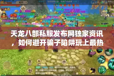 天龙八部私服发布网独家资讯，如何避开骗子陷阱玩上最热新服？