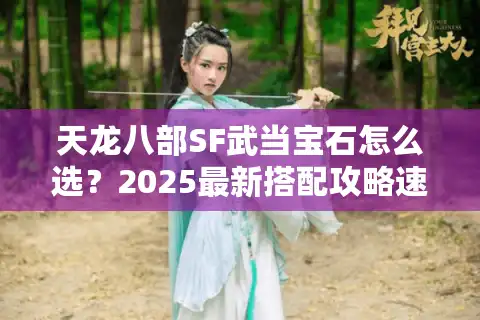 天龙八部SF武当宝石怎么选？2025最新搭配攻略速查