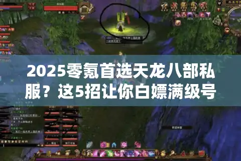 2025零氪首选天龙八部私服？这5招让你白嫖满级号