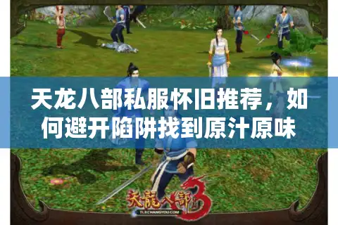 天龙八部私服怀旧推荐，如何避开陷阱找到原汁原味经典版本？