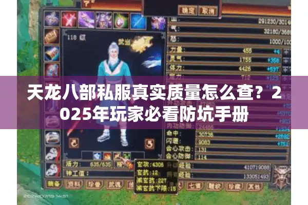 天龙八部私服真实质量怎么查？2025年玩家必看防坑手册