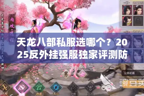 天龙八部私服选哪个？2025反外挂强服独家评测防坑指南