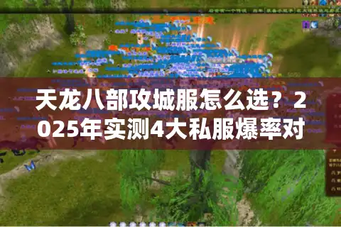 天龙八部攻城服怎么选？2025年实测4大私服爆率对比