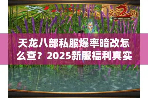 天龙八部私服爆率暗改怎么查？2025新服福利真实排行
