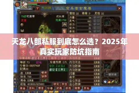天龙八部私服到底怎么选？2025年真实玩家防坑指南