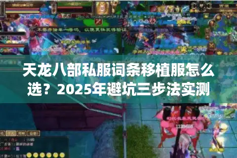 天龙八部私服词条移植服怎么选？2025年避坑三步法实测有效
