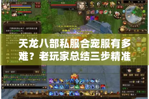 天龙八部私服合宠服有多难？老玩家总结三步精准避坑法