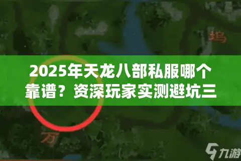 2025年天龙八部私服哪个靠谱？资深玩家实测避坑三法则