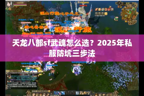 天龙八部sf武魂怎么选？2025年私服防坑三步法