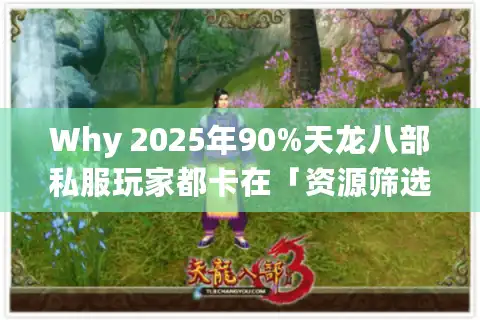 Why 2025年90%天龙八部私服玩家都卡在「资源筛选」阶段？
