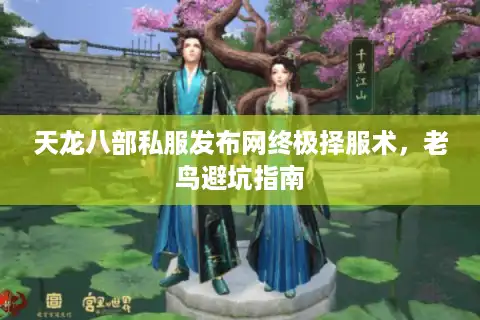 天龙八部私服发布网终极择服术，老鸟避坑指南