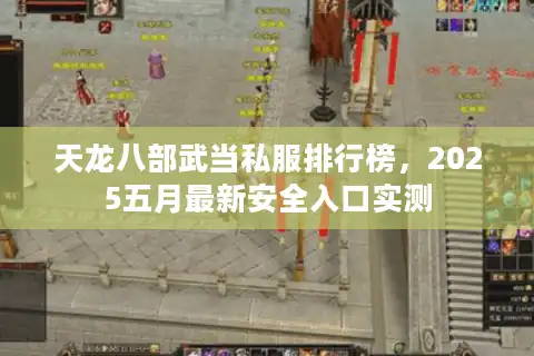 天龙八部武当私服排行榜，2025五月最新安全入口实测