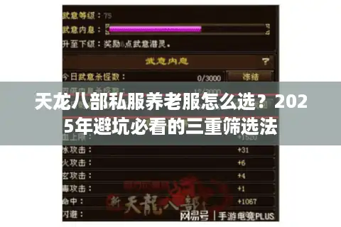 天龙八部私服养老服怎么选？2025年避坑必看的三重筛选法