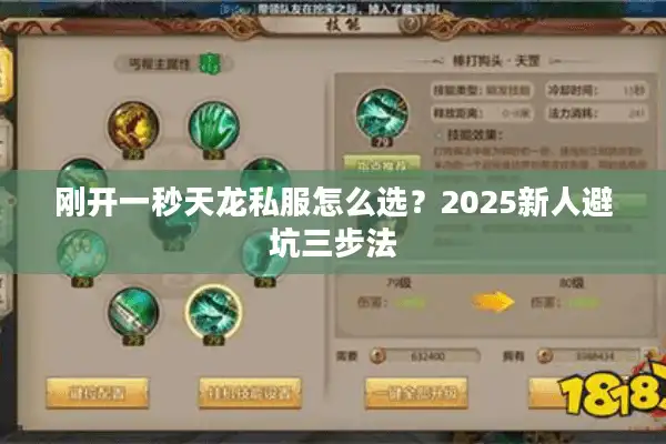 刚开一秒天龙私服怎么选？2025新人避坑三步法
