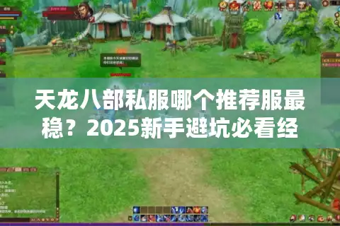 天龙八部私服哪个推荐服最稳？2025新手避坑必看经验