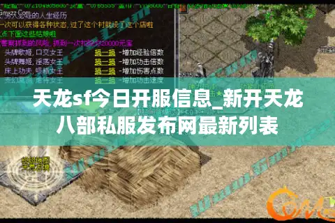 天龙sf今日开服信息_新开天龙八部私服发布网最新列表