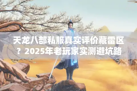 天龙八部私服真实评价藏雷区？2025年老玩家实测避坑路线