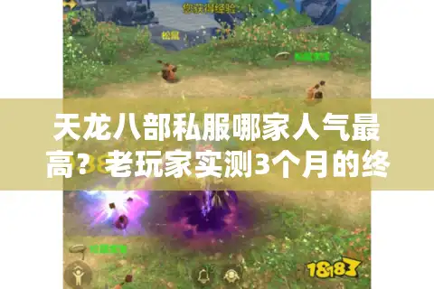 天龙八部私服哪家人气最高？老玩家实测3个月的终极答案