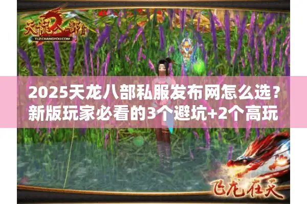 2025天龙八部私服发布网怎么选？新版玩家必看的3个避坑+2个高玩推荐