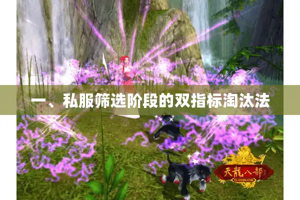 一、私服筛选阶段的双指标淘汰法