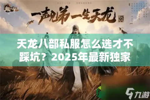 天龙八部私服怎么选才不踩坑？2025年最新独家评测揭秘