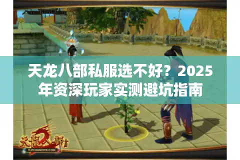 天龙八部私服选不好？2025年资深玩家实测避坑指南